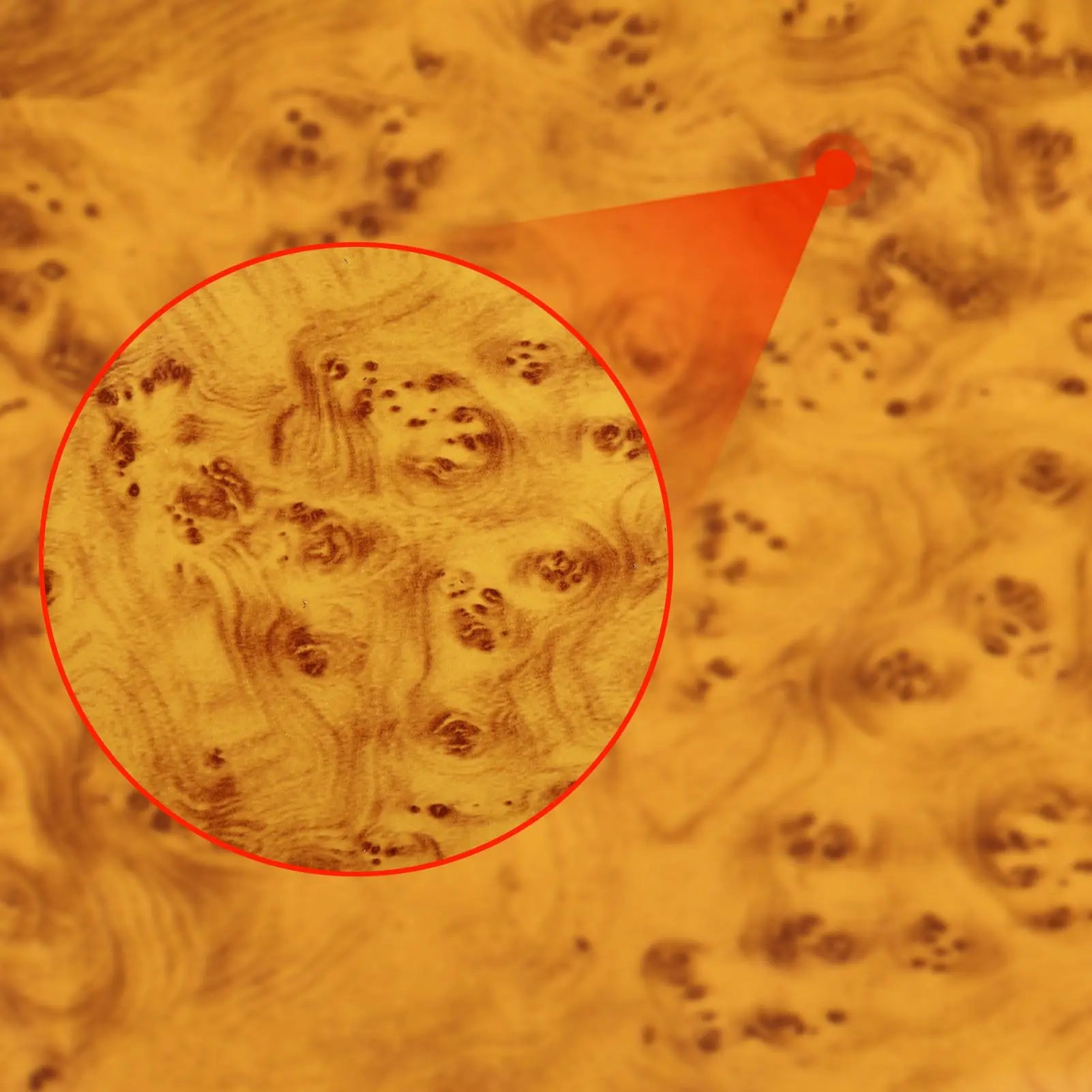 Interior Decorative Strip Panel for BMW 3 Series E36 (1994–1996) – Copilot Trim Sticker