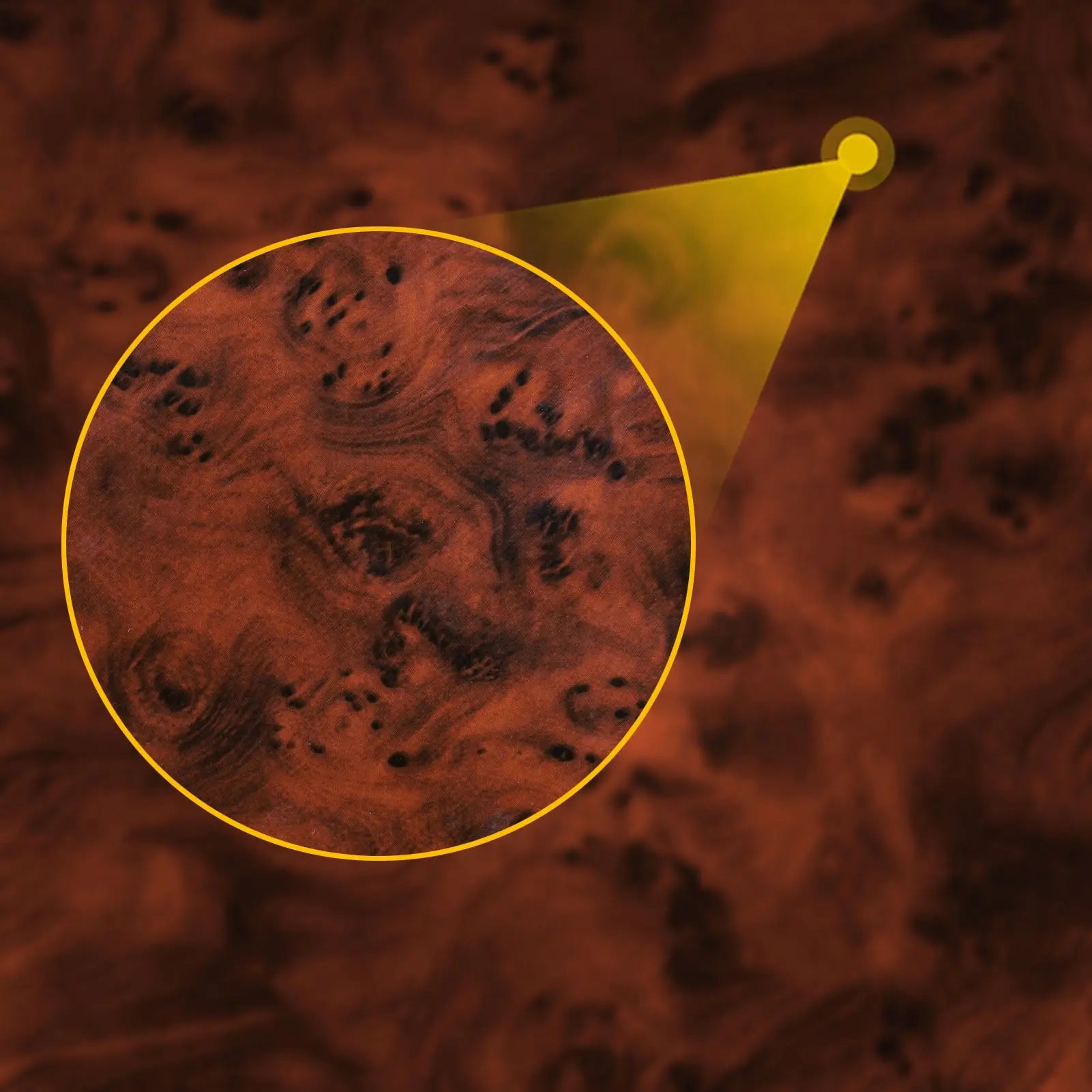 Interior Trim Kit for BMW 3 Series E36 (1994–1996) – Copilot Storage Box &amp; Switch Panel Covers