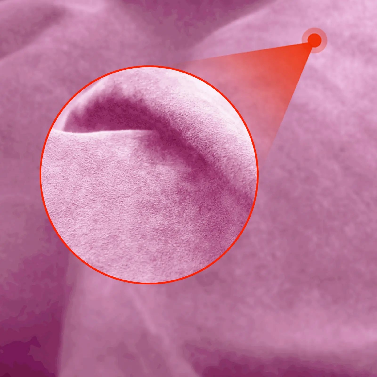 Interior Decorative Strip Panel for BMW 3 Series E36 (1994–1996) – Copilot Trim Sticker